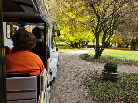 20211109_113812 (002)